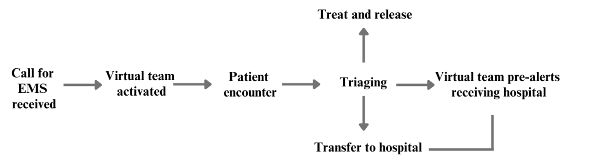 Tiers 1 and 2 of prehospital care and patient flow encountered by mobilised groups. For tier 1, this would be