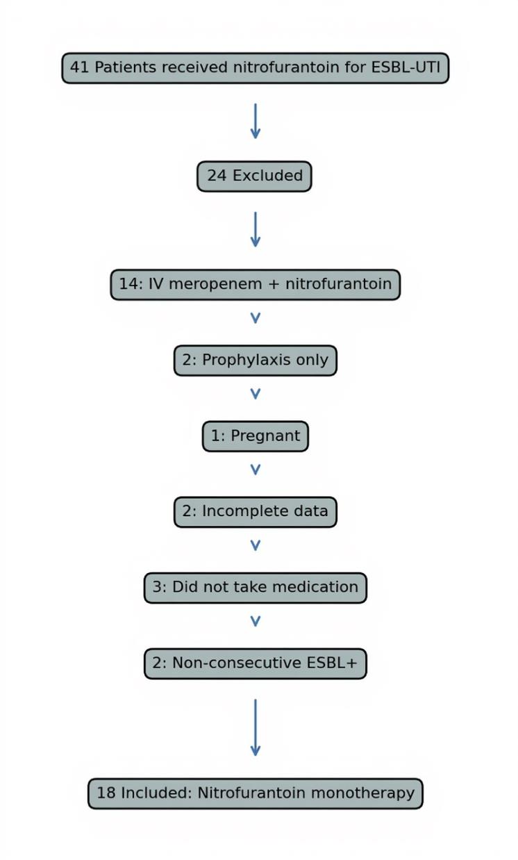 Patient selection process showing exclu-