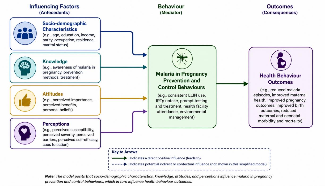 Conceptual Framework