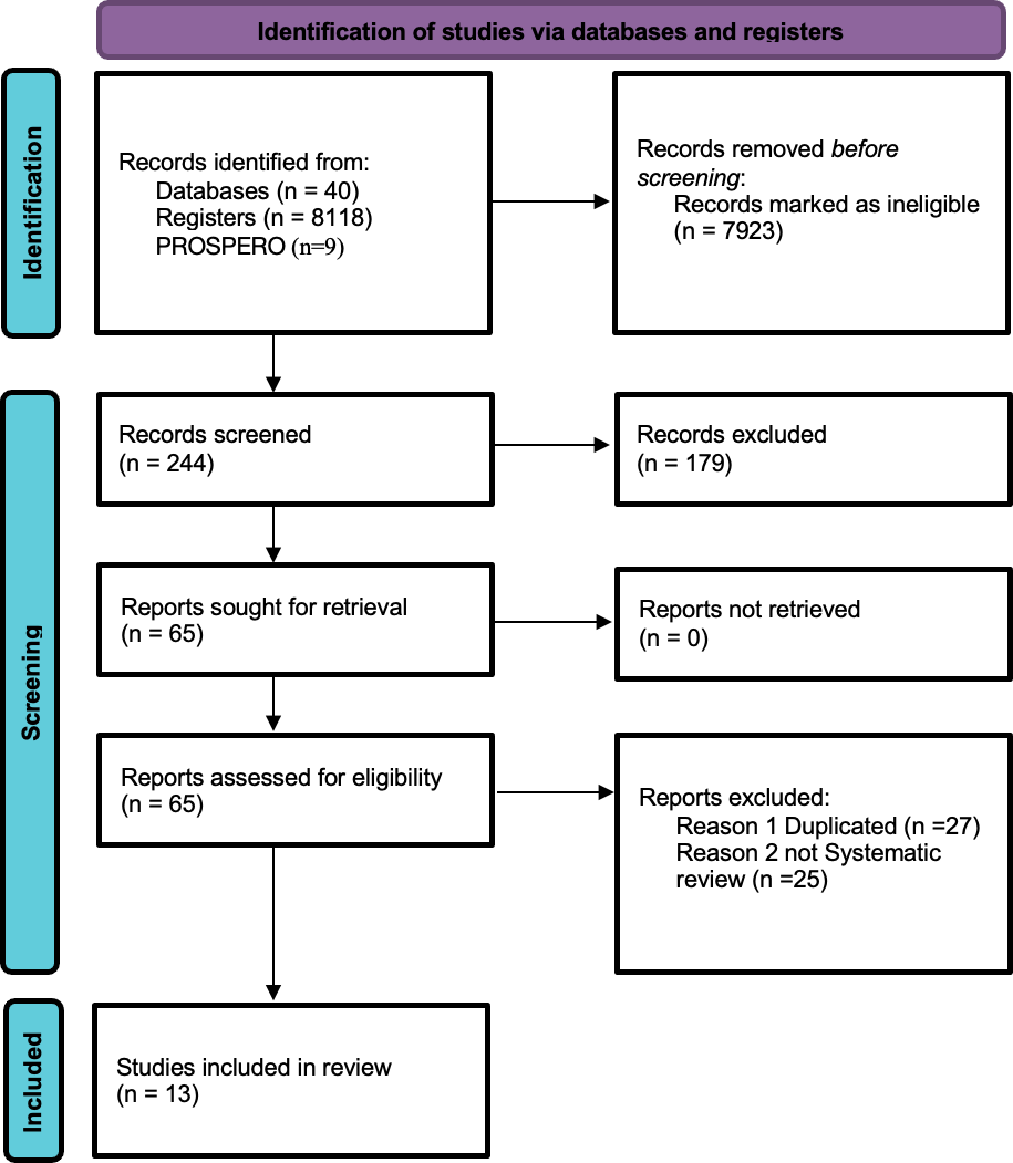 Prisma chart depicting the identification, screening and inclusion of studies